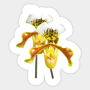 Twin Sisters Orchids Sticker